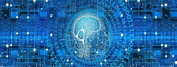 Webinar VK-NL samenwerking: AI voor duurzaamheid